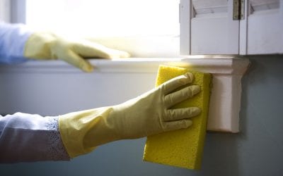 Removing Mold in Your Home Using Natural Household Products