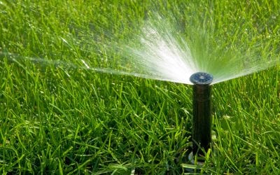 Summer Plumbing Tips: Reduce Hassle This Summer