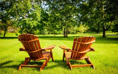 Care for the Trees Around Your Home