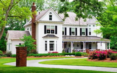 Summer Lawn Maintenance: 5 Tips for a Healthy, Green Lawn